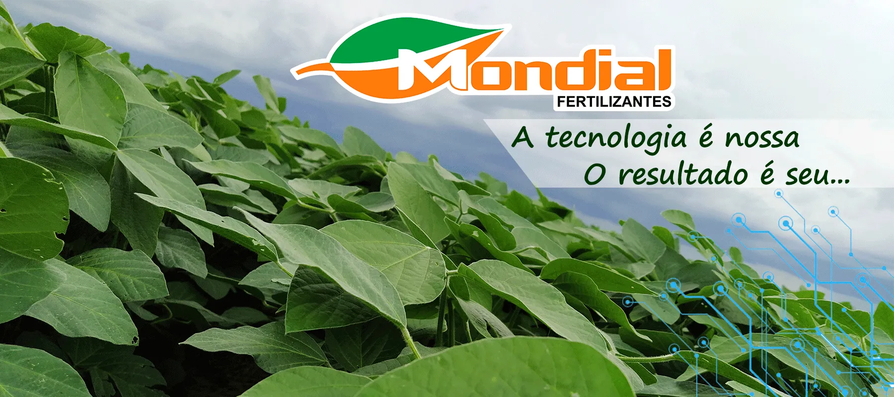 Mondial Fertilizantes — lavoura