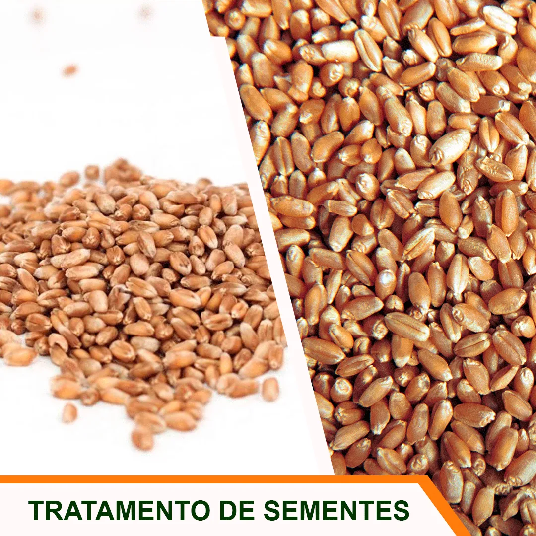Tratamento de Sementes