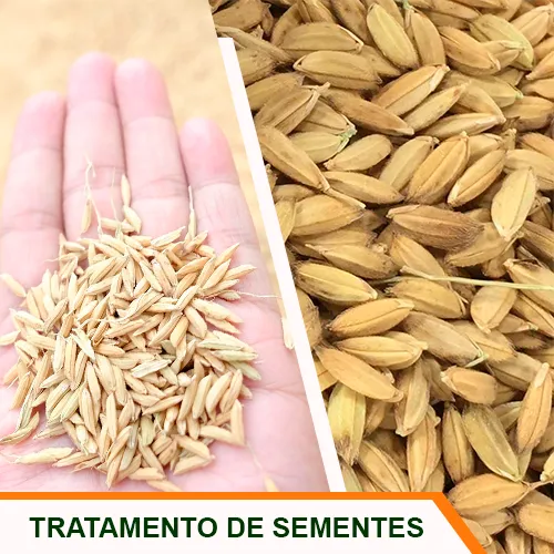 Tratamento de Sementes